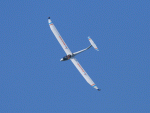 EMS